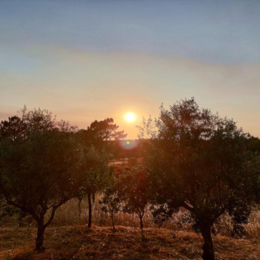 فيلا Casa Do Pisco Sardoal المظهر الخارجي الصورة